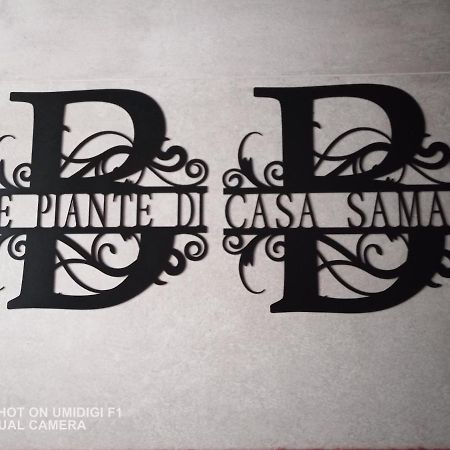 Le Piante Di Casa Samar Bed and Breakfast Castelguelfo Buitenkant foto