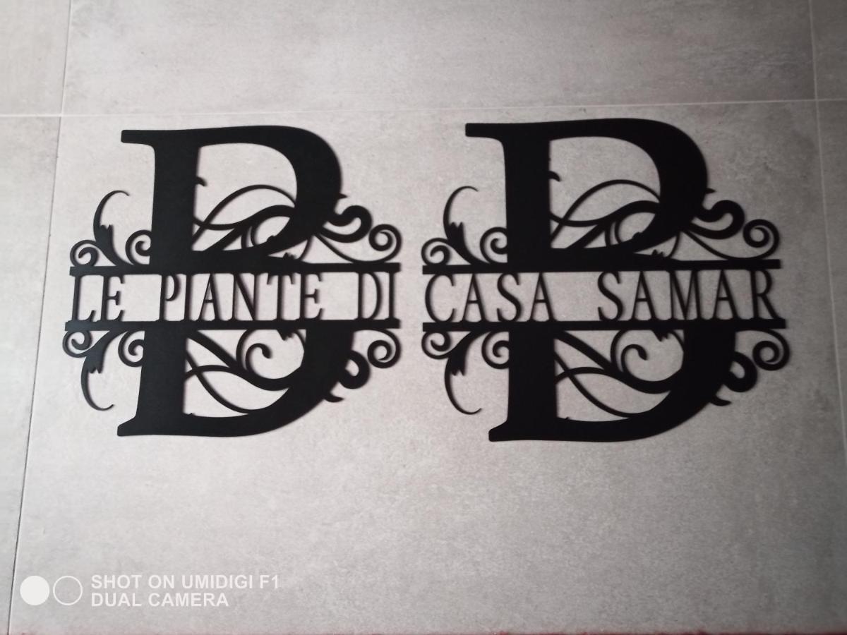 Le Piante Di Casa Samar Bed and Breakfast Castelguelfo Buitenkant foto