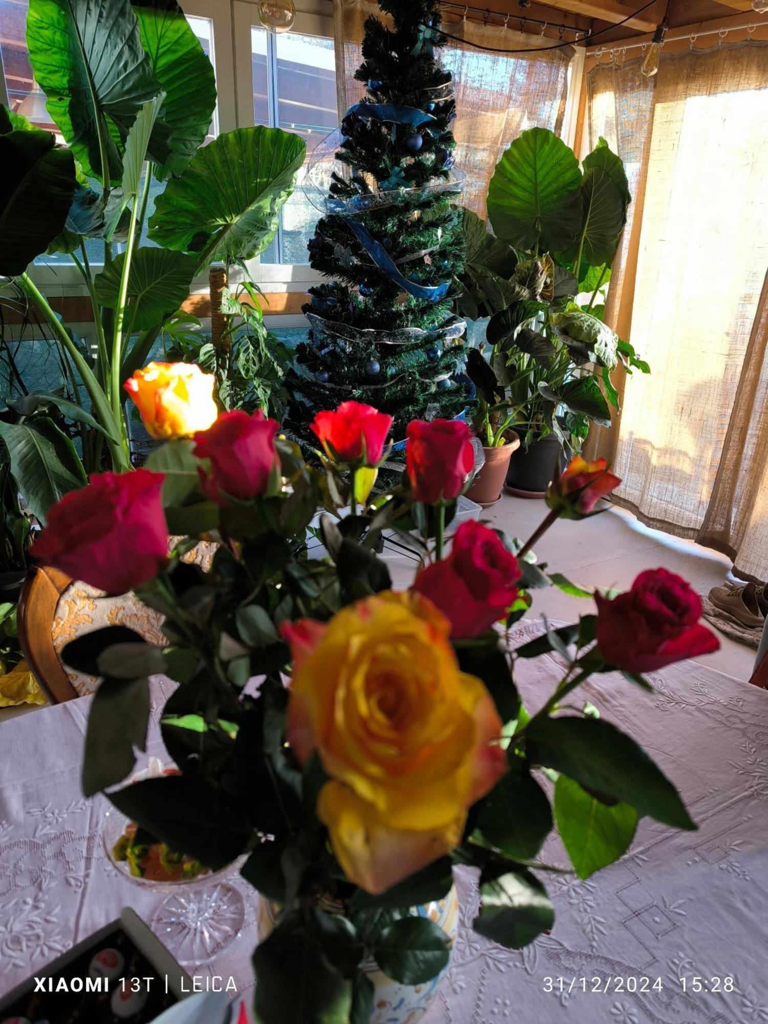 Le Piante Di Casa Samar Bed and Breakfast Castelguelfo Buitenkant foto